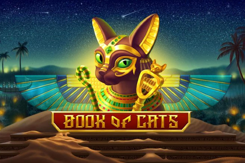 Презентация The Book of Cats от BGaming